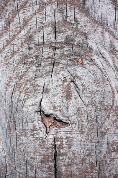 Close View Old Grey Weathered Wooden Background — Stock Photo, Image