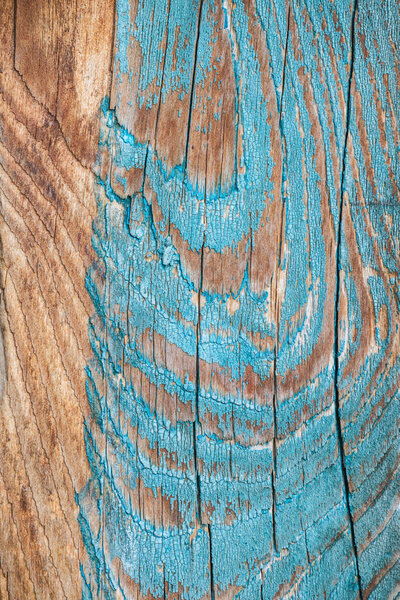 close-up view of aged wooden background with weathered blue paint