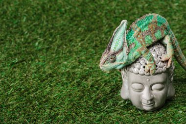 beautiful bright green chameleon sitting on Buddha head clipart