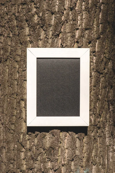Empty Wooden Blackboard Grey Bark Tree — Free Stock Photo