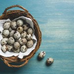 Top view of raw healthy quail eggs in wicker basket on turquoise wooden table
