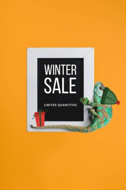 green chameleon in hat with christmas gift sitting on blackboard with winter sale isolated on orange  clipart