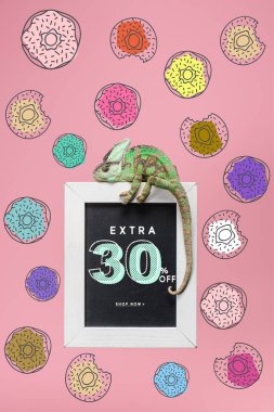 bukalemun 30 yüzdeleri ile yazı tahtası üzerinde ekstra satış pembe çörek ile izole