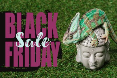 beautiful bright green chameleon sitting on Buddha head with black friday sale clipart