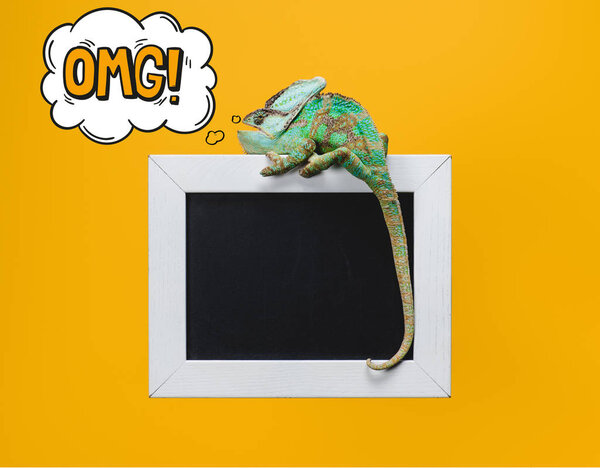 beautiful bright green chameleon with omg sign in thought bubble sitting on blackboard isolated on yellow