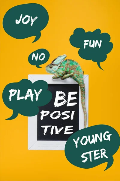 Colorful Chameleon Blackboard Positive Lettering Isolated Yellow Play Joy Fun — Stock Photo, Image