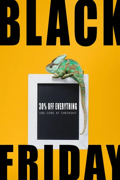 Beautiful Colorful Reptile Blackboard Black Friday Sale Isolated Yellow — Free Stock Photo