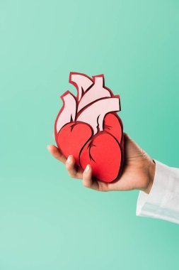 kırpılmış yeşil izole kalp modeli holding beyaz önlük doktor doz