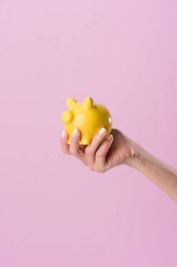 cropped shot of woman holding yellow piggy bank isolated on pink clipart