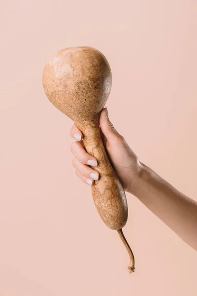 Cropped Shot Woman Holding Lagenaria Isolated Beige — Free Stock Photo