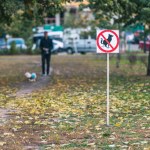 No dog poop sign in autumn park
