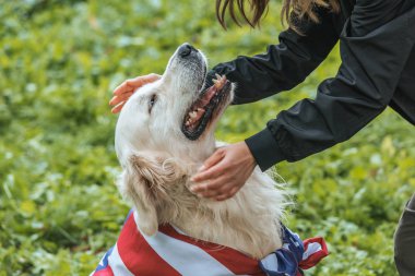 kadın köpek park Amerikan bayrağı sarılı ile oynarken fotoğrafını kırpılmış