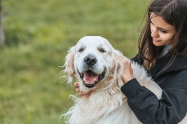 güzel genç kadın okşayarak sevimli retriever köpek park