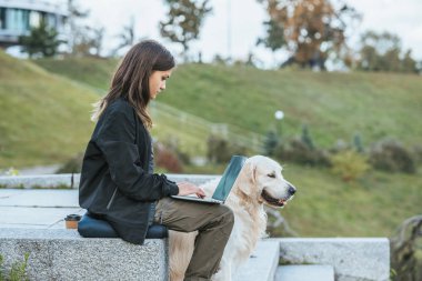 Genç kadın ile köpek parkta otururken dizüstü bilgisayar ile çalışma