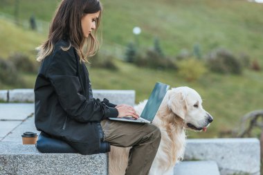 serbest meslek ile köpek parkta otururken dizüstü kullanarak yan görünüm