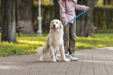rehber köpek Park ile yürüyen genç kadın görüntüsünü kırpılmış 