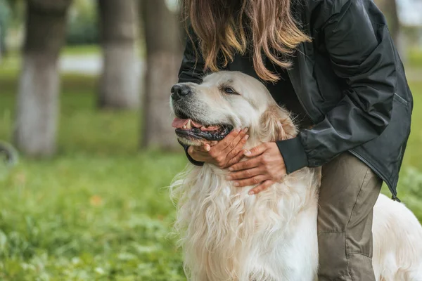 Cortado Tiro Menina Abraçando Bonito Engraçado Cão Parque — Fotografia de Stock