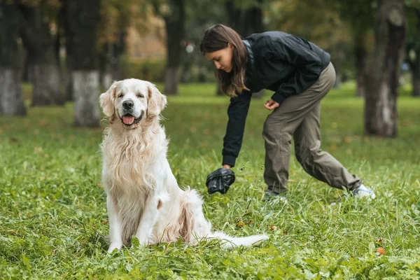 Junge Frau Putzt Nach Golden Retriever Hund Park — Stockfoto