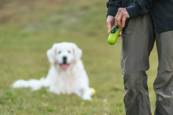 Vista Parcial Del Bolso Niña Para Limpiar Después Mascota Parque — Foto de Stock