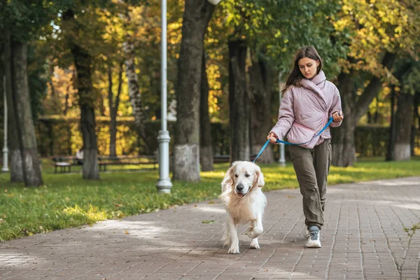 Jeune Femme Marche Avec Chien Guide Dans Parc — Photo