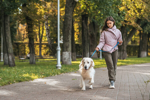 молодая женщина гуляет с собакой-поводырем в парке
