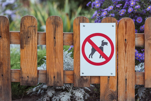 close-up view of dog forbidden sign on wooden fence in park