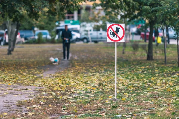 Dog Poop Sign Autumn Park — Free Stock Photo