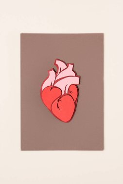 Kahverengi Bej ile anatomik insan kalp yukarıdan görüntülemek  