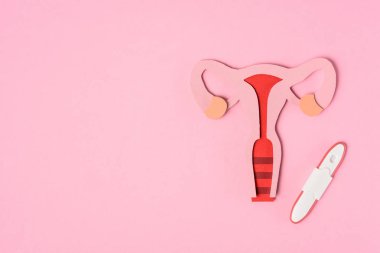 elevated view of female reproductive system and pregnancy test on pink clipart