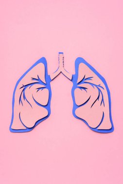 gelen yukarıdaki pembe üzerinde insan akciğer görüntülemek 