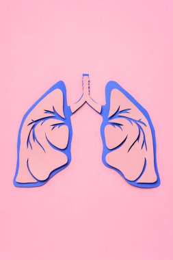view from above of human lungs on pink  clipart