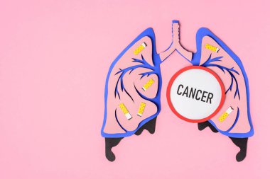 Sigara ve yazı kanser ile insan akciğerleri pembe üzerinde yukarıdan 