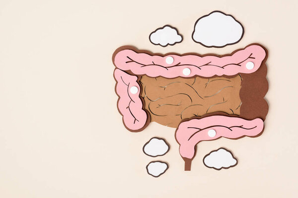 elevated view of human large intestine with white pills on beige