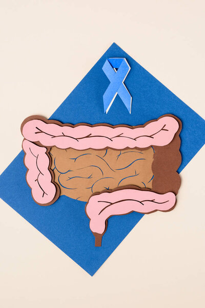 top view of prostate cancer awareness blue ribbon and human large intestine on blue with beige