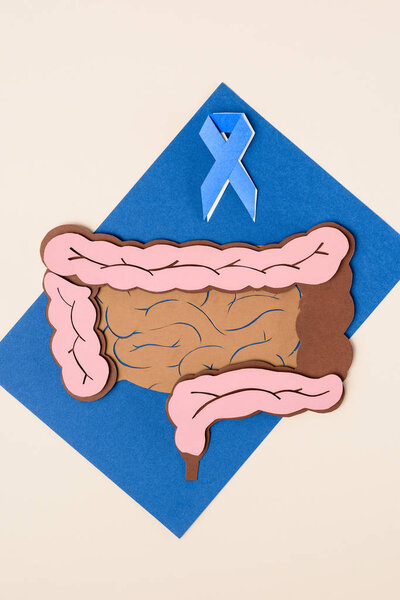 вид сверху на осведомленность о раке предстательной железы голубая лента и толстый кишечник человека на голубом с бежевым
