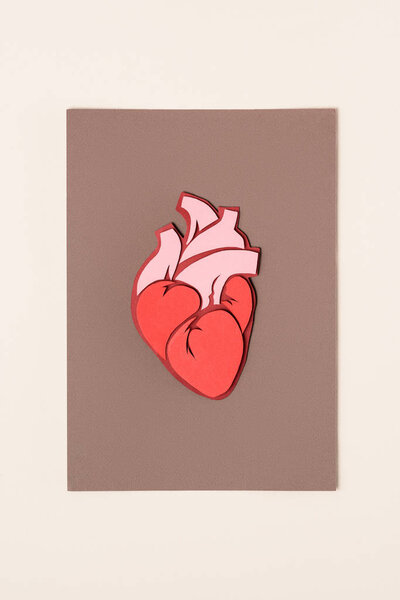вид сверху анатомического человеческого сердца на коричневый с бежевым
  