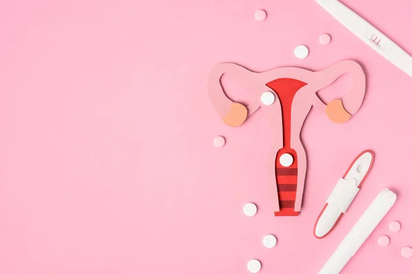 Pembe Üzerinde Kadın Üreme Sistemi Hap Çeşitli Gebelik Testleri Üstten — Stok fotoğraf