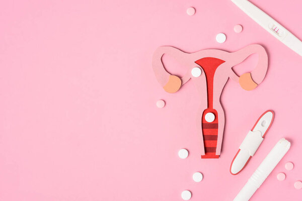 верхний вид женской репродуктивной системы, таблетки и различные тесты на беременность на розовый
