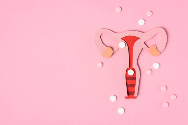 top view of female reproductive system and pills on pink