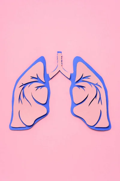 Vista Desde Arriba Los Pulmones Humanos Rosa — Foto de Stock