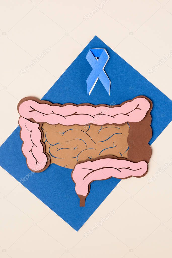 top view of prostate cancer awareness blue ribbon and human large intestine on blue with beige