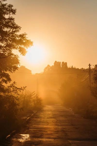 Beau Lever Soleil Orange Dessus Des Arbres Route — Photo