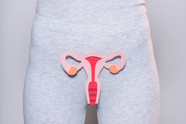 kadın kağıt ile kısmi görünümünü kadın üreme sistemi üzerinde gri arka plan yaptı.