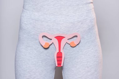 partial view of woman with paper made female reproductive system on grey background clipart