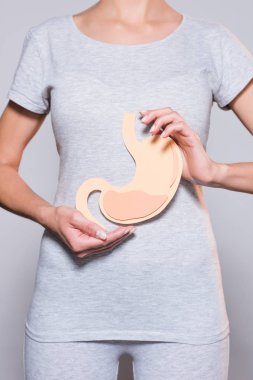 partial view of woman holding paper made human stomach on grey background clipart