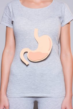 partial view of woman with paper made human stomach on grey background clipart