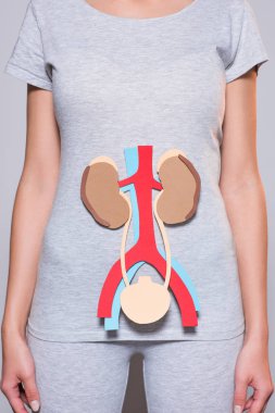 cropped shot of woman with paper made human internal organs on grey background clipart