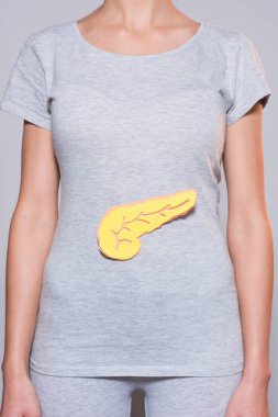 Partial view of woman with paper made pancreas on tshirt on grey backdrop clipart