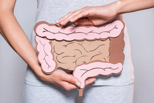 Visão Parcial Mulher Segurando Papel Feito Intestino Grosso Fundo Cinza — Fotografia de Stock