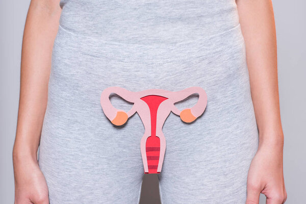 частичный взгляд женщины с бумагой сделал женскую репродуктивную систему на сером фоне
